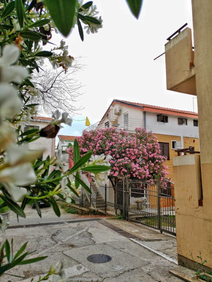 Vojinovic Apartman *