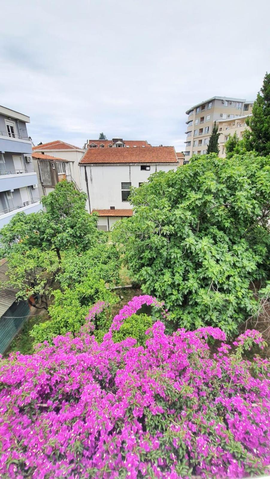 Apartment Vojinovic *