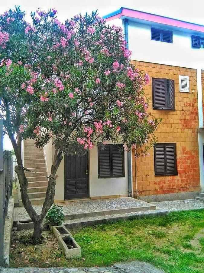 Vojinovic Apartment Budva
