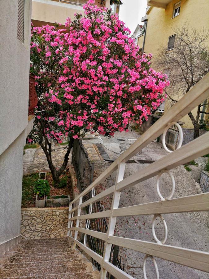 Vojinovic * Budva