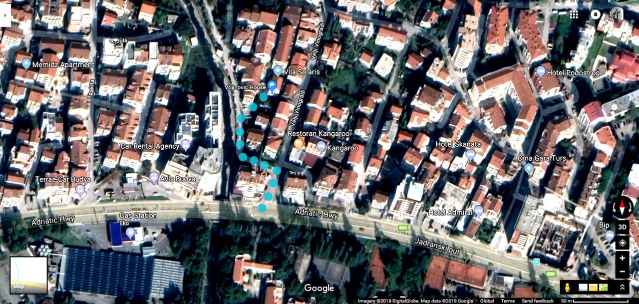 Vojinovic Apartment Budva